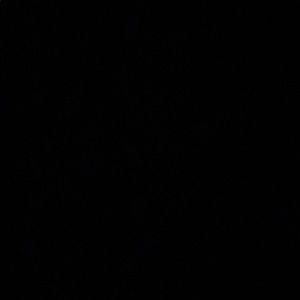 Meet your Posher, Adrian